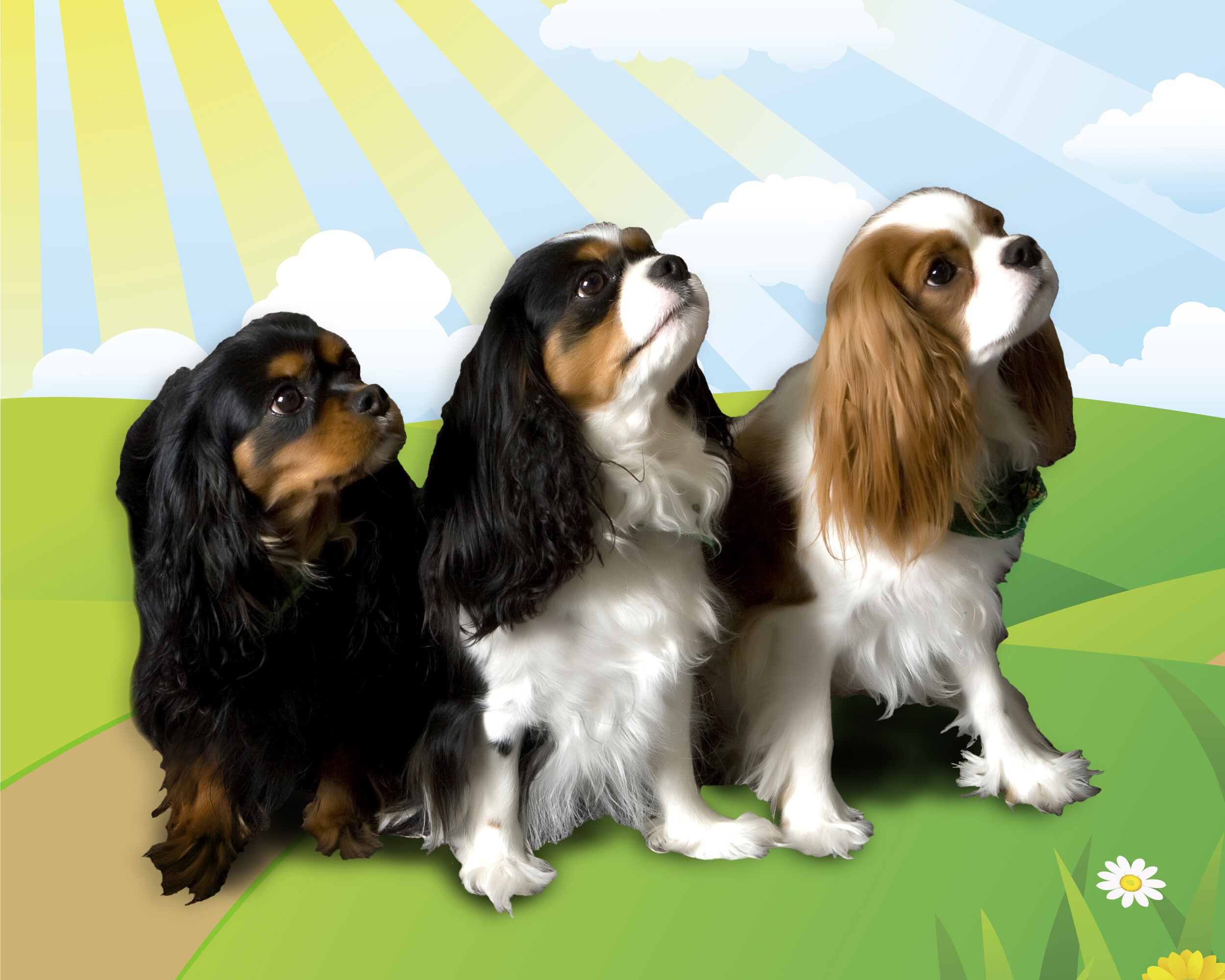 Maggie, Sylvie & Louie