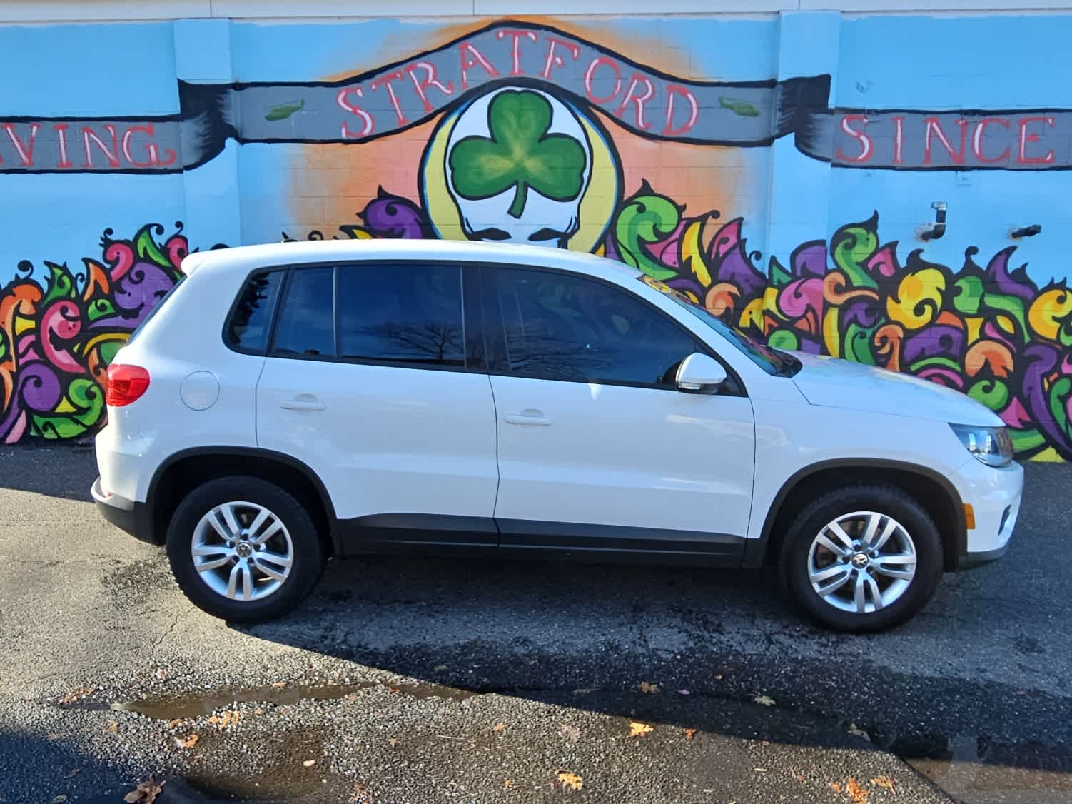 2014 Volkswagen Tiguan S photo 3