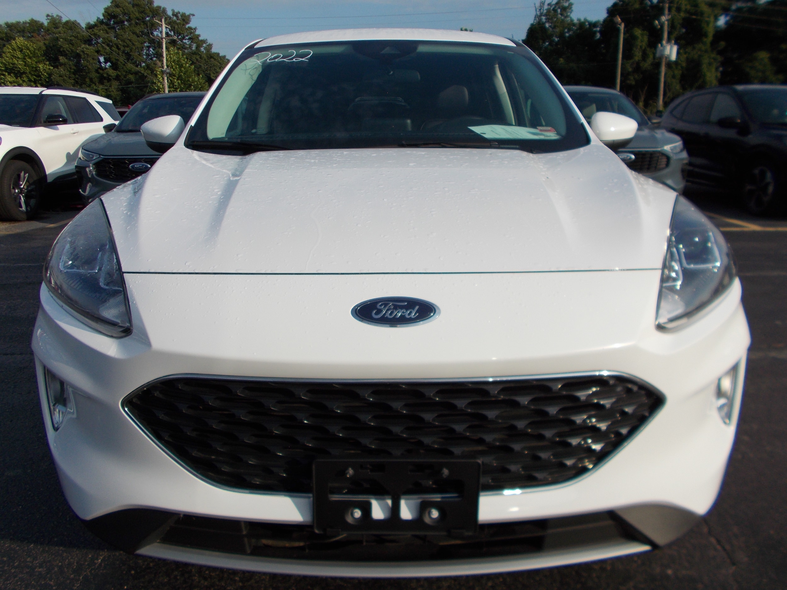 2022 Ford Escape SEL - Photo 9