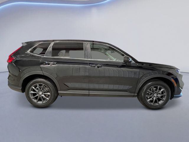 2026 Honda CR-V EX-L photo 2
