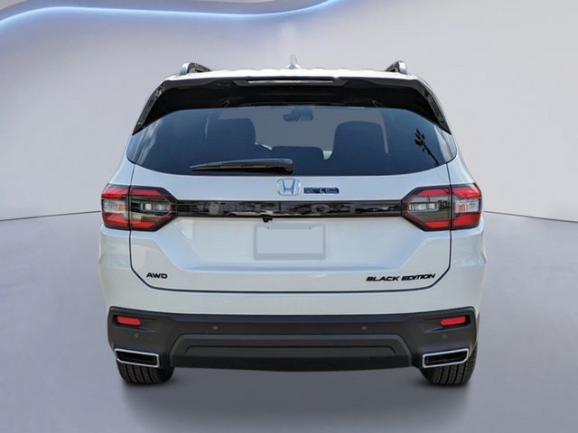 2025 Honda Pilot Black Edition photo 3