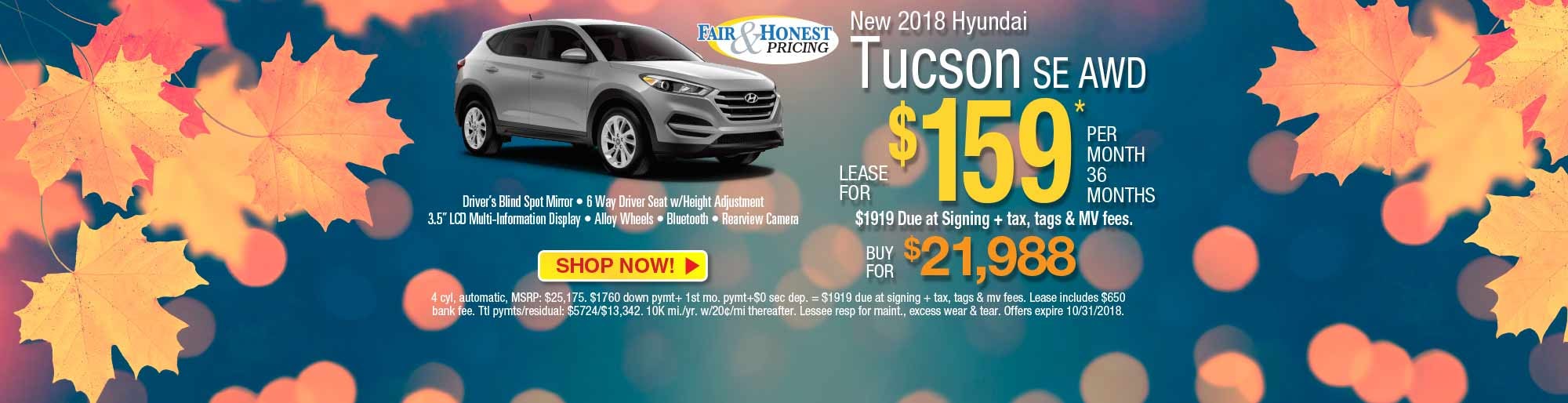Curry Hyundai Dealership in Cortlandt Manor & White Plains, NY