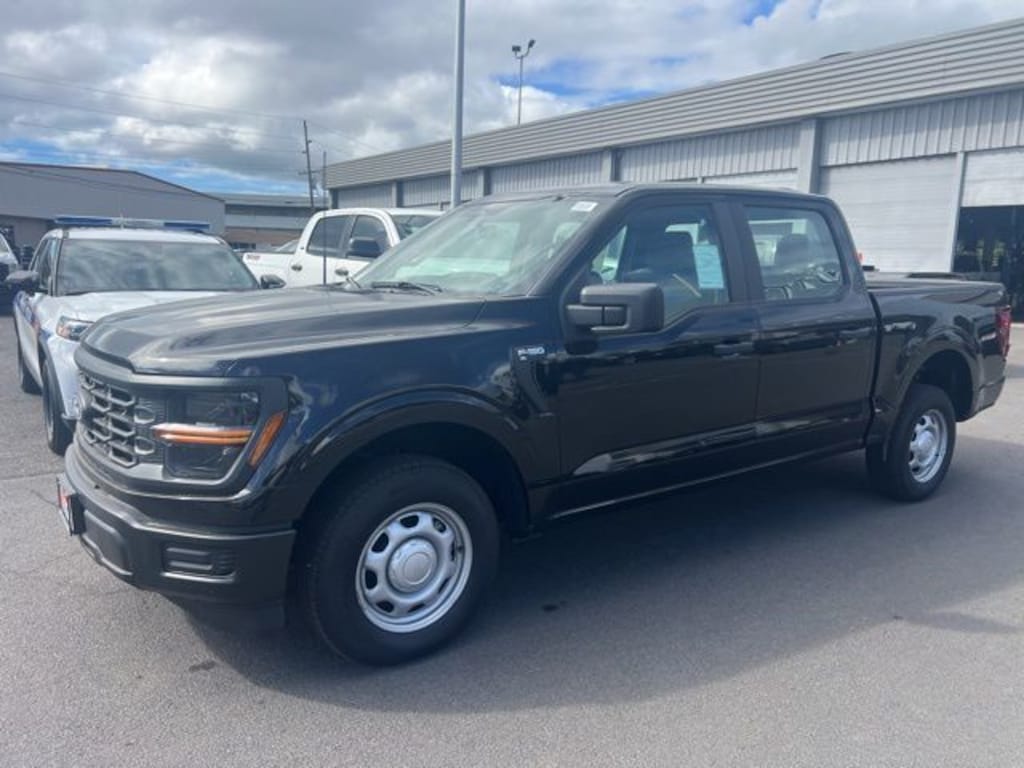 Used 2025 Ford F-150 XL Truck