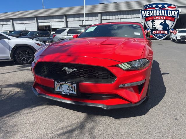 2019 Ford Mustang Convertible 