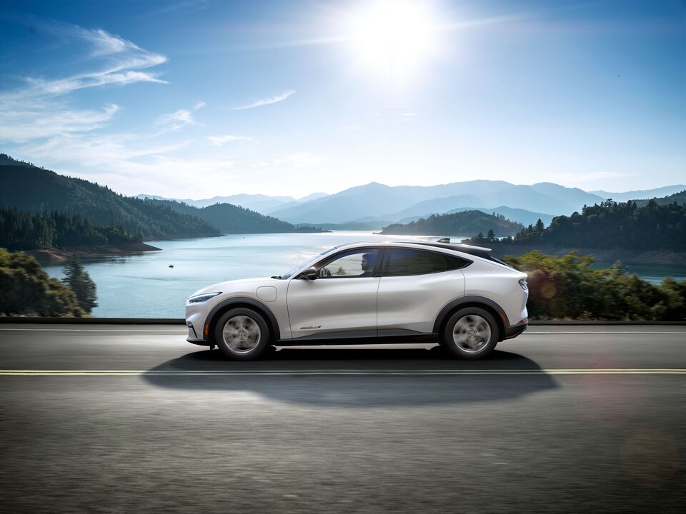 New Mustang MachE in Aiea, HI Cutter Ford