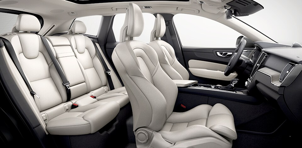 interior.png