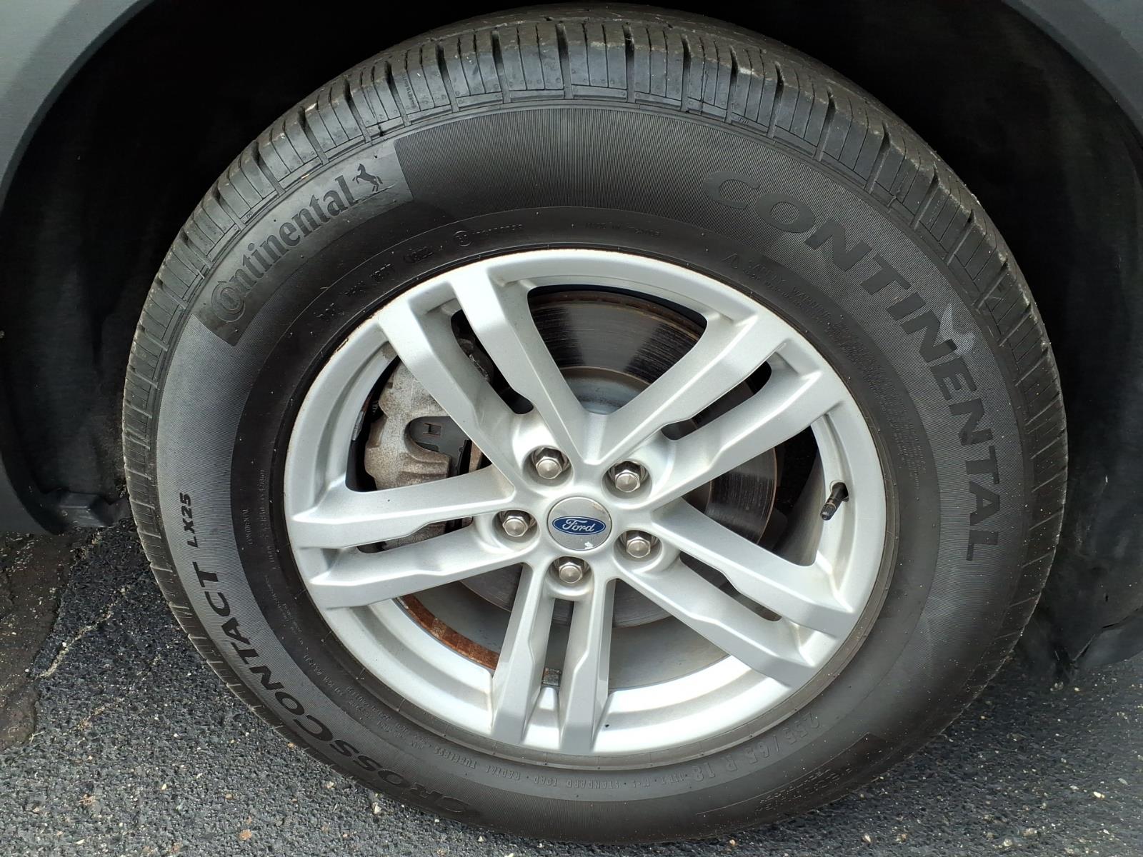 Photo 19