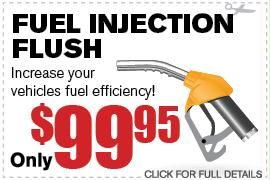 Fuel Injection Flush