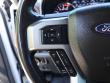 2022 Ford Super Duty F-450 DRW Platinum Pickup