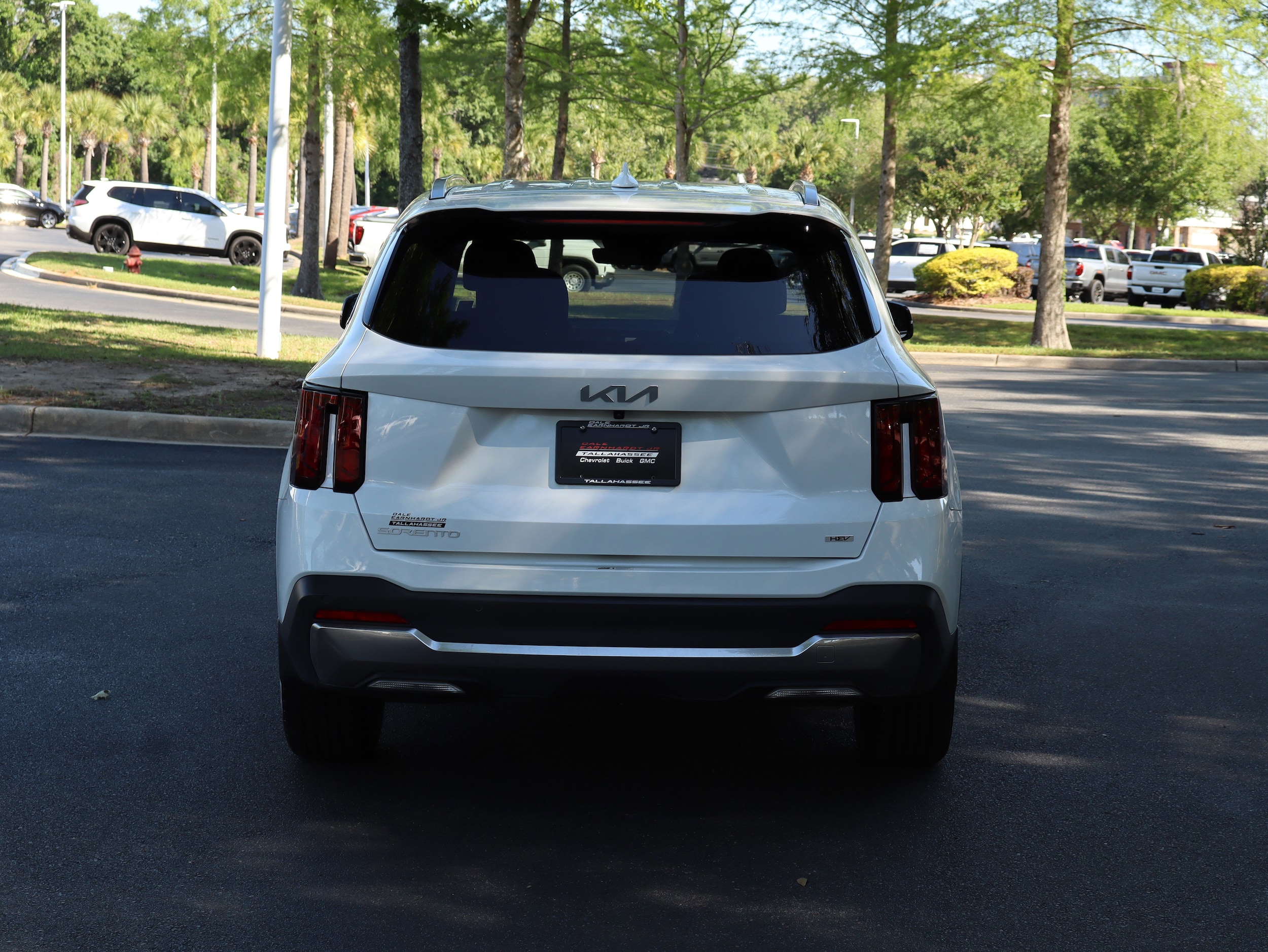 2025 Kia Sorento Hybrid EX photo 6