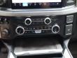2025 Ford Super Duty F-450 DRW Platinum Pickup