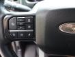 2025 Ford Super Duty F-450 DRW Platinum Pickup