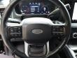 2025 Ford Super Duty F-450 DRW Platinum Pickup