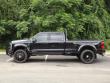 2025 Ford Super Duty F-450 DRW Platinum Pickup