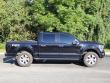 2021 Ford F-150 Platinum Pickup