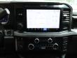 2025 Ford Super Duty F-450 DRW Platinum Pickup