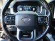 2021 Ford F-150 Platinum Pickup