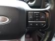 2025 Ford Super Duty F-450 DRW Platinum Pickup