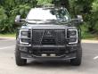 2025 Ford Super Duty F-450 DRW Platinum Pickup
