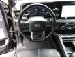 2025 Ford Super Duty F-450 DRW Platinum Pickup