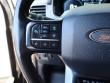 2021 Ford F-150 Platinum Pickup