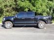 2021 Ford F-150 Platinum Pickup