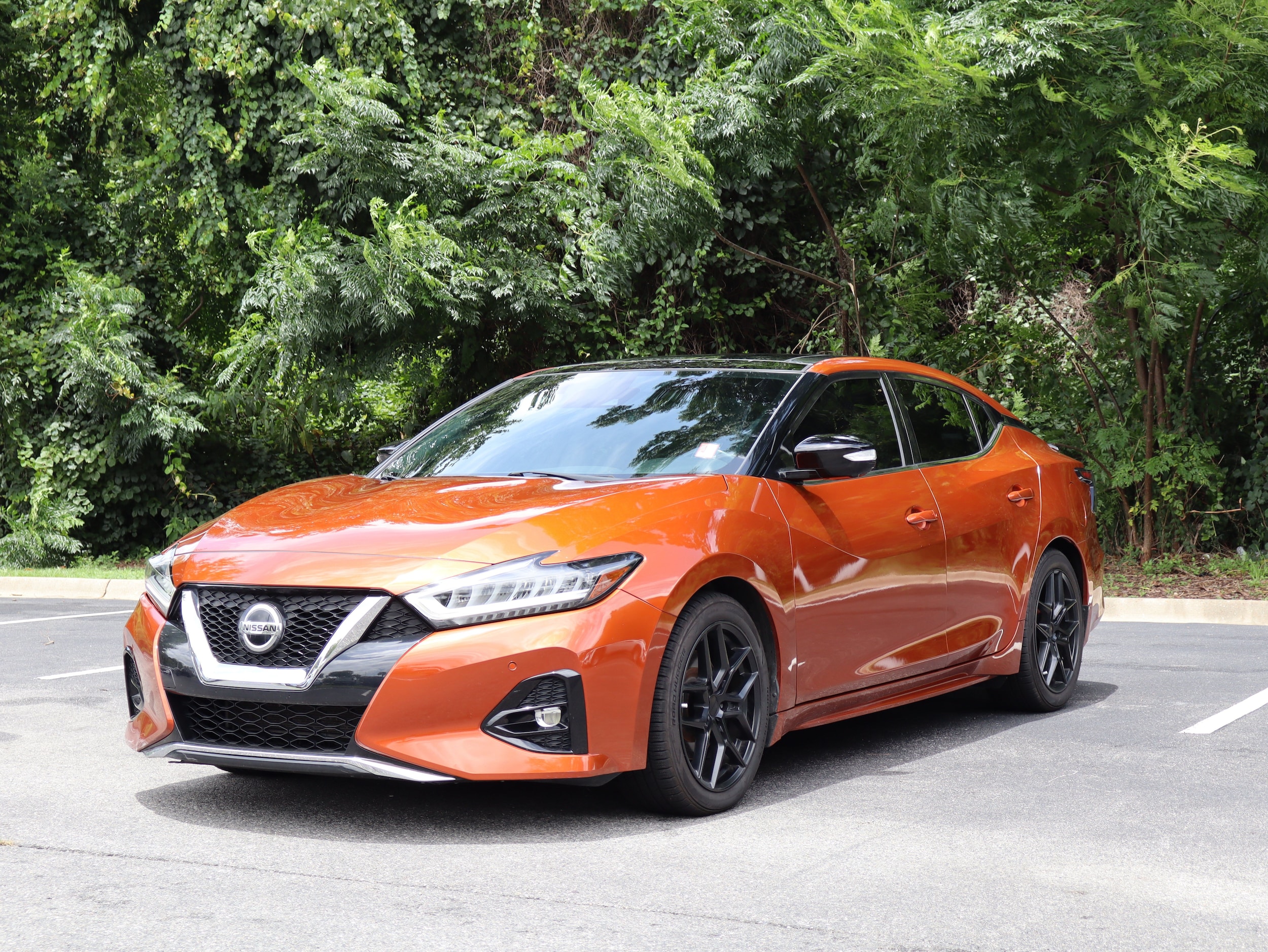 Nissan Maxima SR