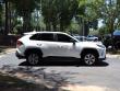 2024 Toyota RAV4 LE SUV