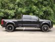 2025 Ford Super Duty F-450 DRW Platinum Pickup