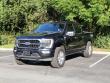 2021 Ford F-150 Platinum Pickup