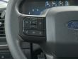 2025 Ford F-150 STX Pickup