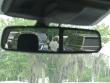 2024 Ford F-150 XLT Pickup