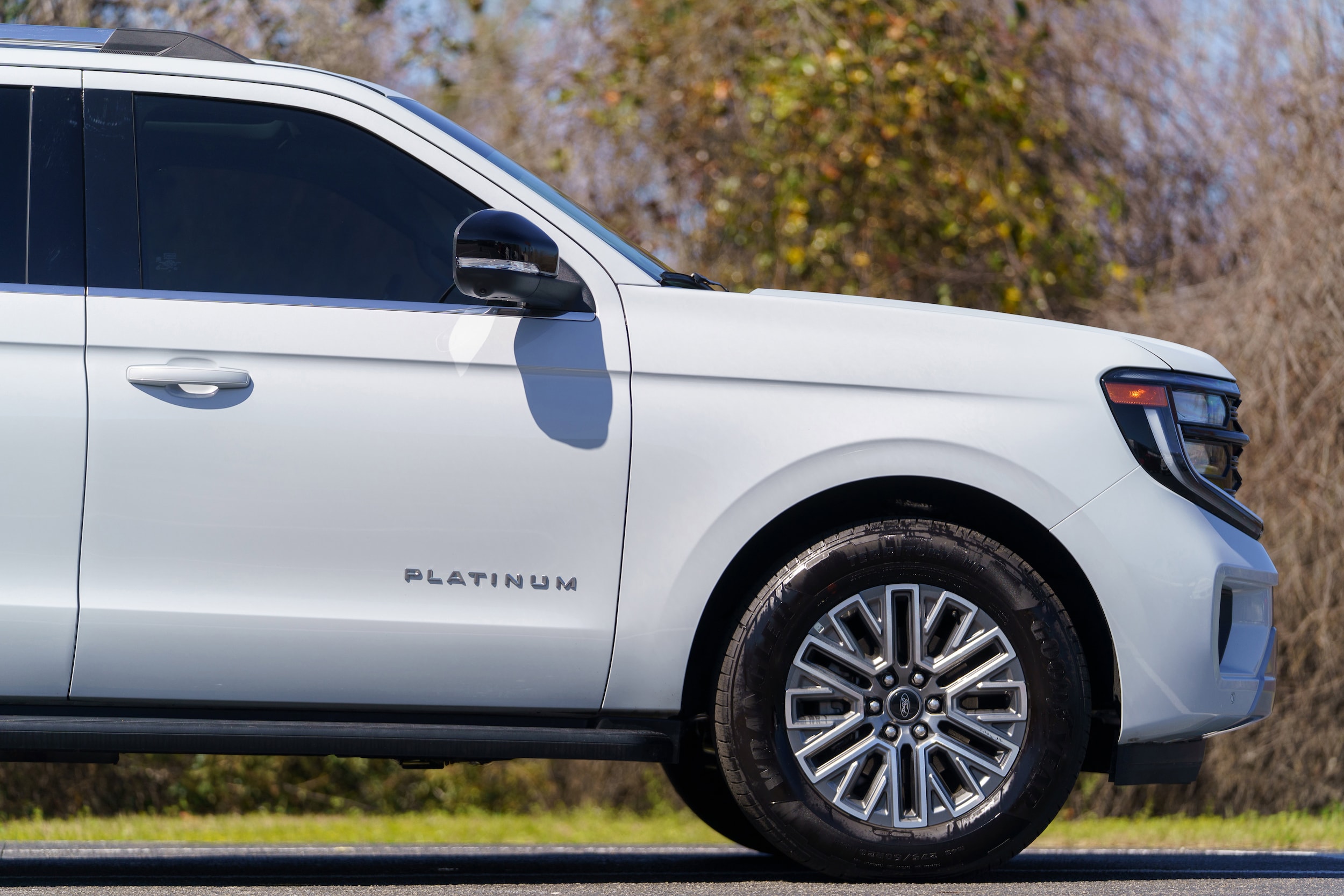 2026 Ford Expedition Platinum photo 4