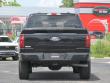 2025 Ford F-150 STX Pickup