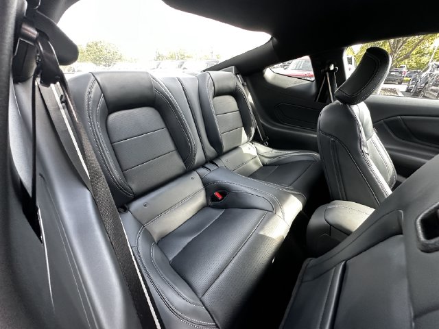 Photo 34