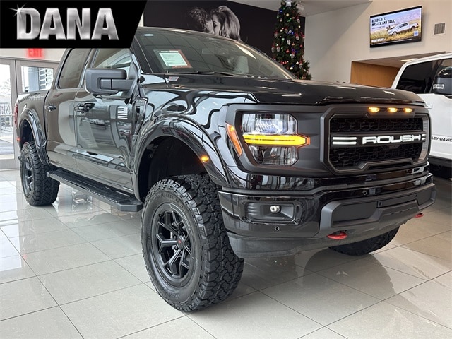 2025 Ford F-150 XLT's photo