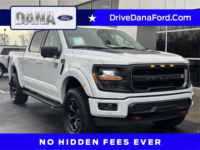 2025 Ford F-150 XLT's photo