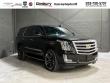Used 2019 Cadillac Escalade Luxury 4WD  Luxury