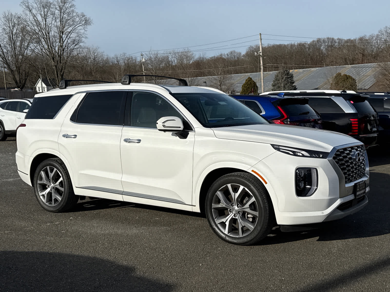 2021 Hyundai Palisade Limited's photo