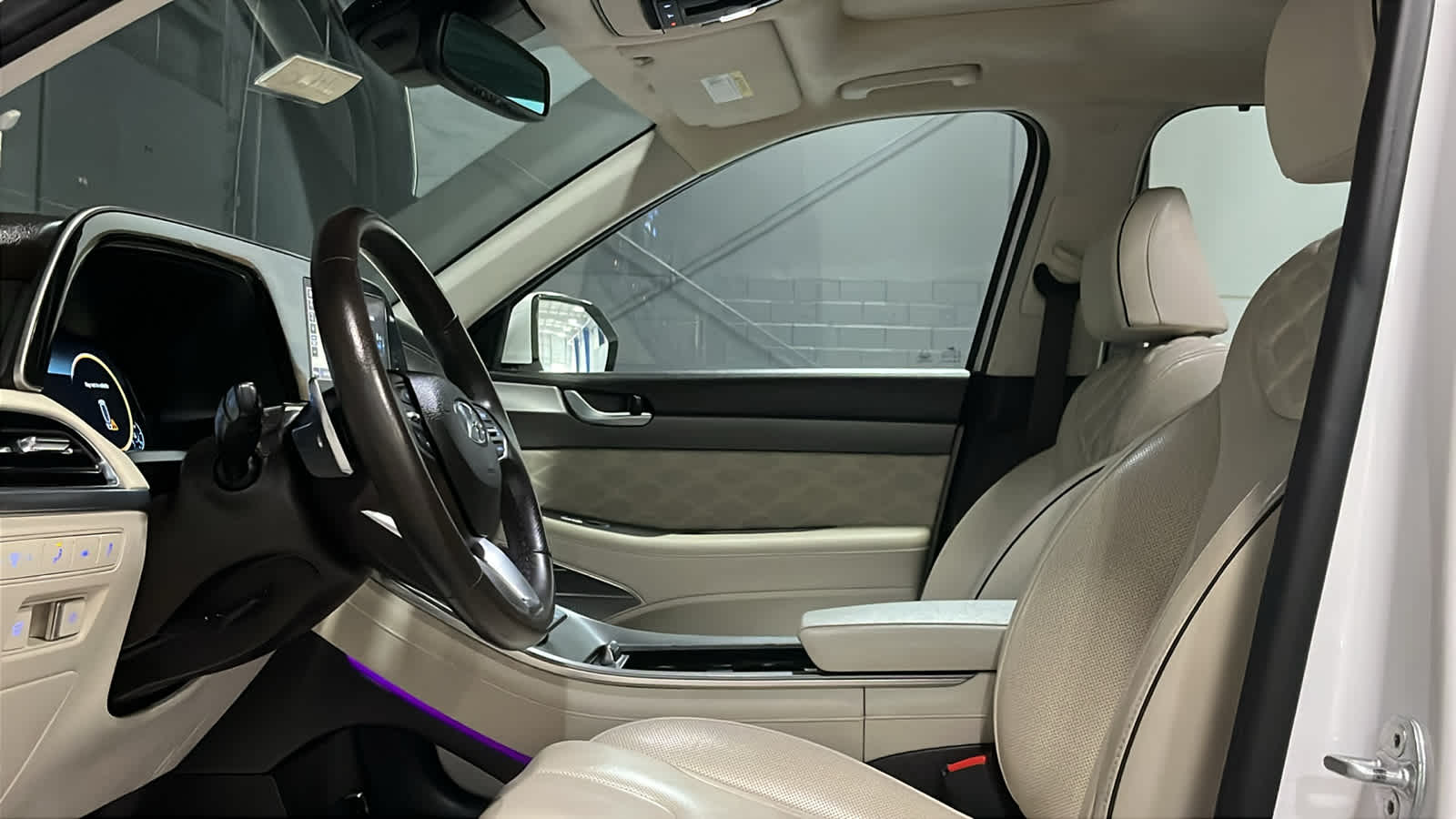 2020 Hyundai Palisade Limited - Photo 9