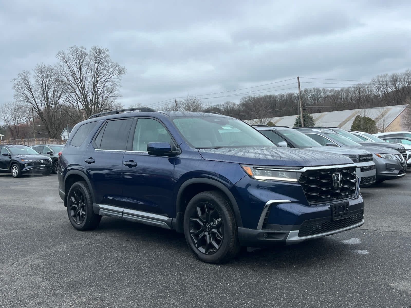 2025 Honda Pilot Elite AWD's photo