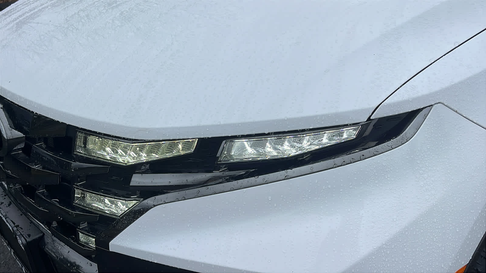 View 7