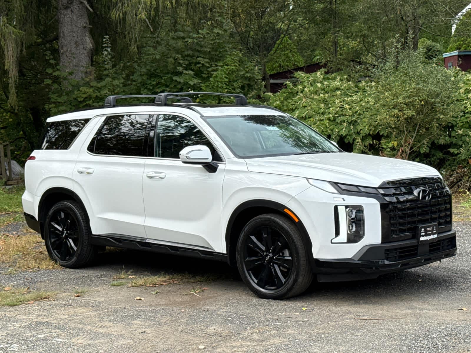 2024 Hyundai Palisade XRT's photo