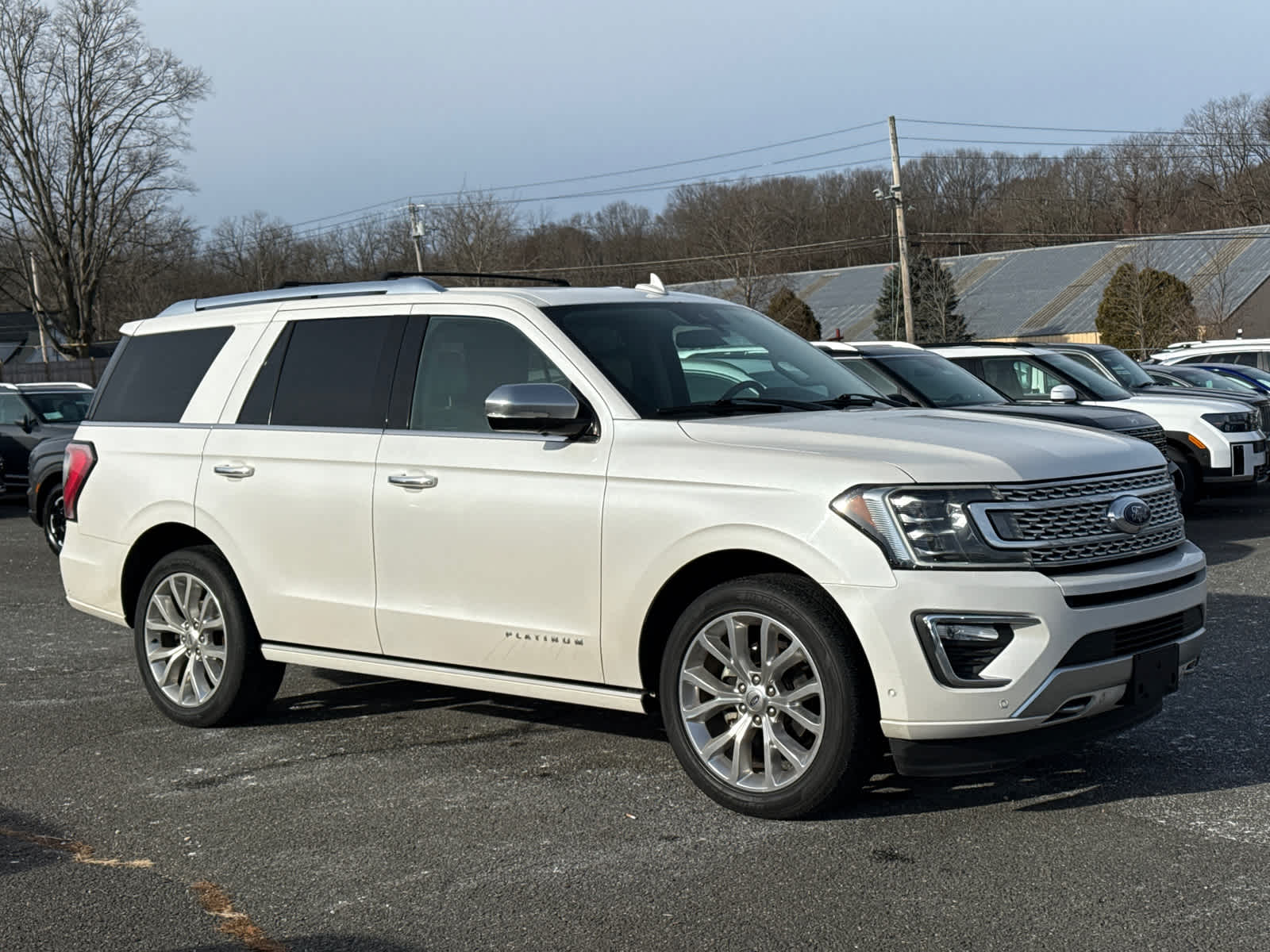2018 Ford Expedition Platinum's photo