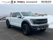 Used 2023 Ford F-150 Raptor 4WD Supercrew 5.5 Box 4WD SuperCrew 5.5 Box