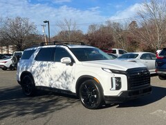2023 Hyundai Palisade XRT AWD