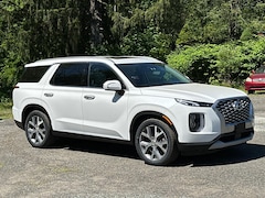 2022 Hyundai Palisade SEL Convenience + Premium AWD AWD