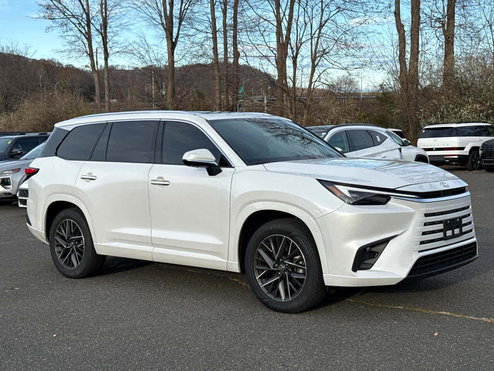 2024 Lexus TX 350's photo