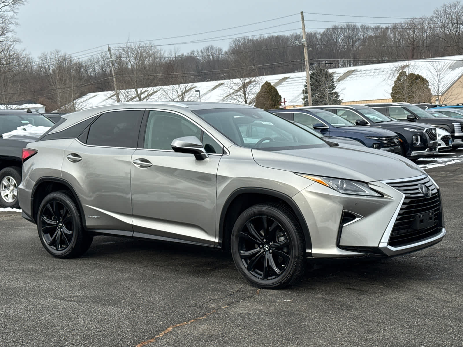 2019 Lexus RX Hybrid 450h's photo