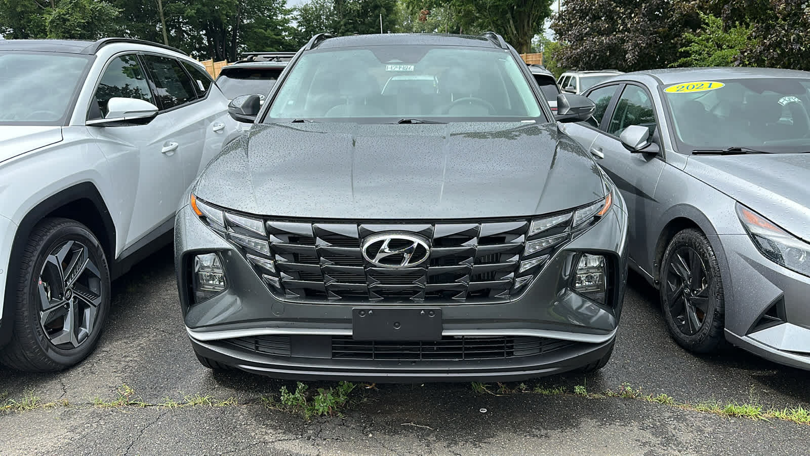 Certified 2024 Hyundai Tucson SEL Convenience with VIN KM8JCCD17RU215926 for sale in Danbury, CT